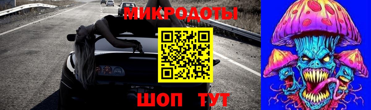 Галлюциногенные грибы Psilocybe Пенза
