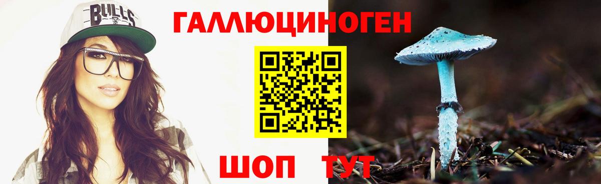 Пенза  Псилоцибиновые грибы мухоморы  Вход с VPN 